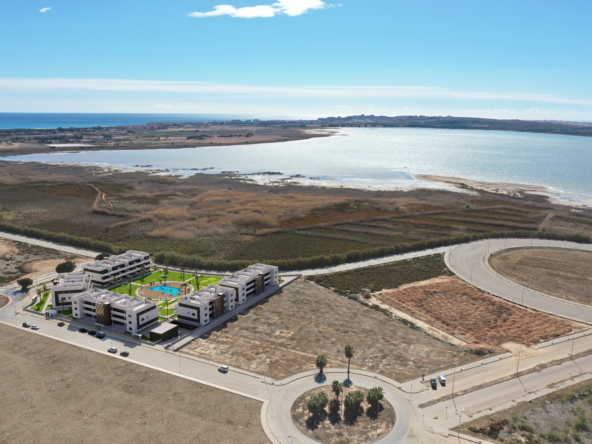 Oasis Laguna 11
