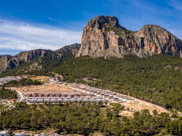 Copia de 29032025-DJI_0564