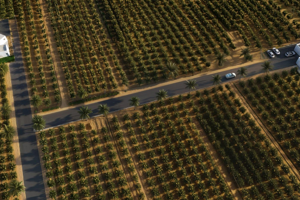Captura de pantalla 2026-07-01 102814